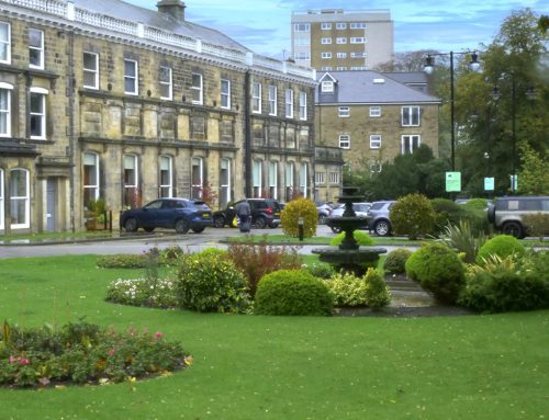 Cedar Court Hotel