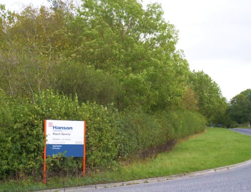Rippon Quarry, Barnsley and Goosehill – Minerals sites